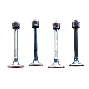 Engine Valve Set