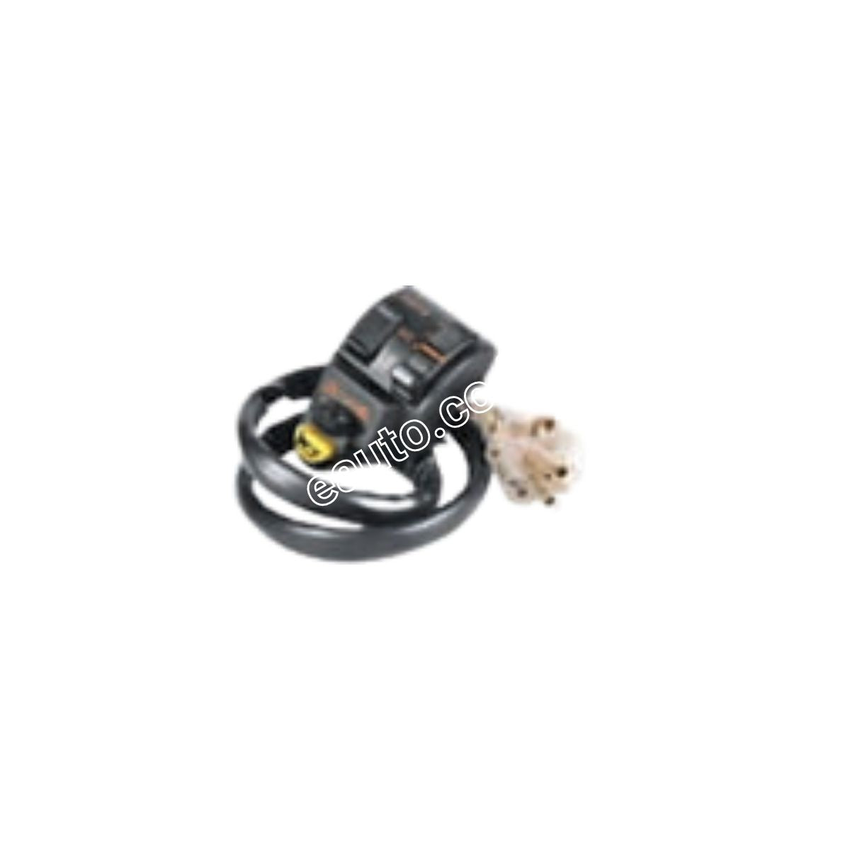 passion plus switch price