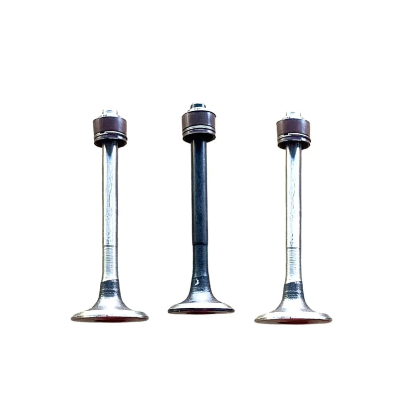Engine Valve Set for TVS Flame | 3 Valves with Seal