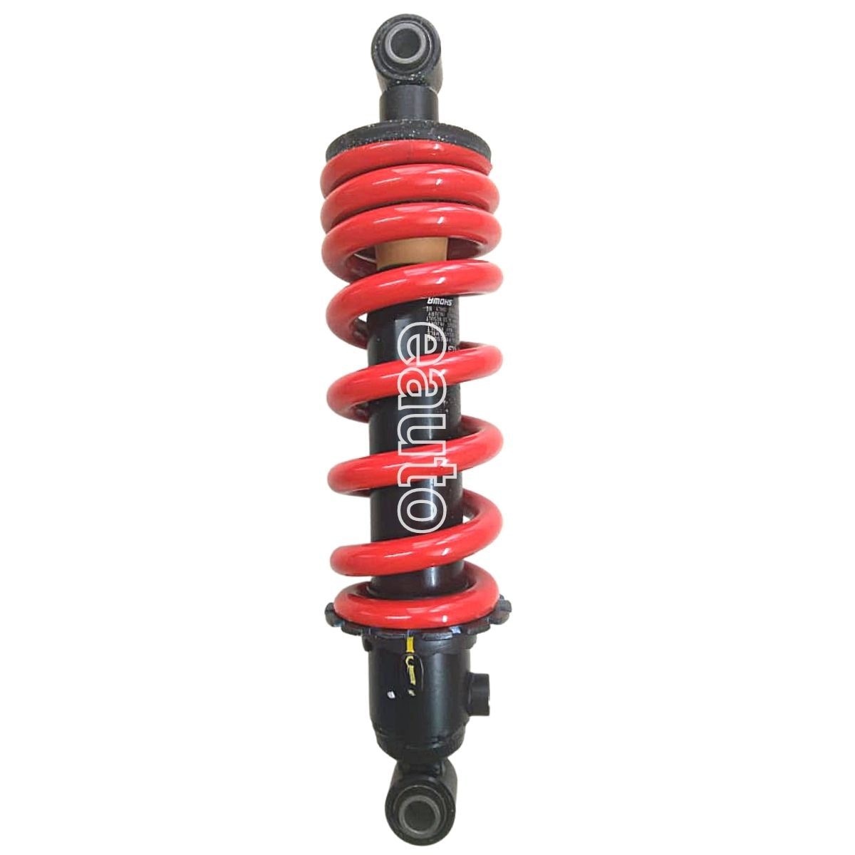 Tvs apache rtr 2025 160 shock absorber price