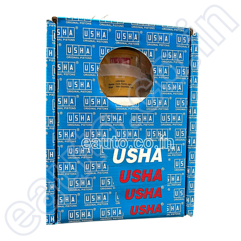 USHA Piston Cylinder Kit for Hero Achiever | CBZ Xtreme | Hunk | Honda Unicorn | Silver Colour Block | Engine Block at www.eauto.co.in