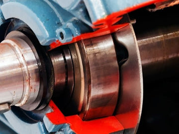 Fuel Pump Motor