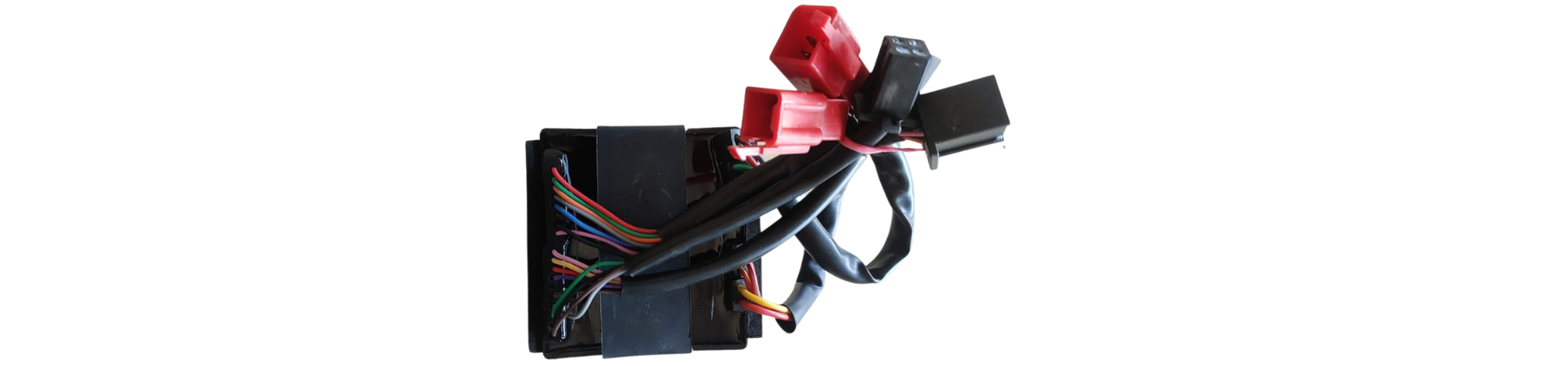 Body Control Unit
