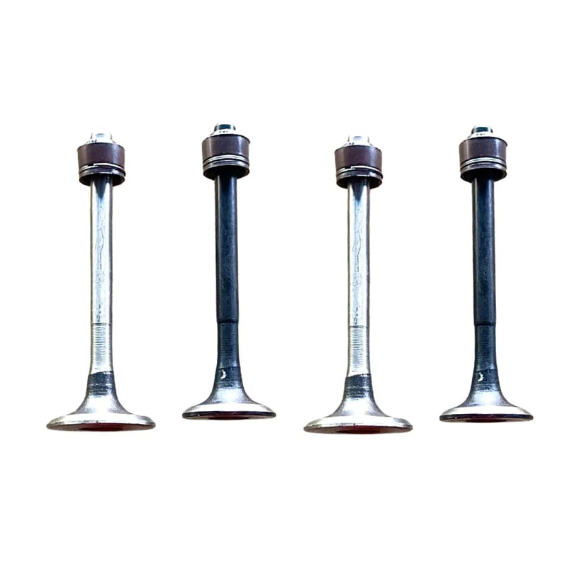 Engine Valve Set for Bajaj Discover 100T | 4 Valves with Seal