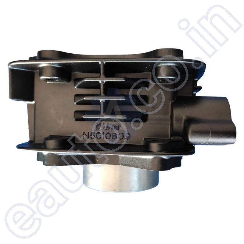 dexo-engine-block-kit-for-tvs-phoenix-bore-piston-or-cylinder-piston-www.eauto.co.in
