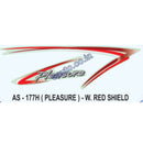 Graphics Sticker Set for Hero Honda Pleasure | Wine Red Sticker
