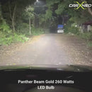 கார்க்ஸ்னியோ பாந்தெர்பீம் 200 வாட் சக்திவாய்ந்த கார் எல்இடி விளக்கை | 2 | H8 | 4300 கே | 2 ஆண்டுகள் உத்தரவாதம்