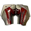 Side Panel for Hero Passion Plus | D Silver & Red Colour Side Panel