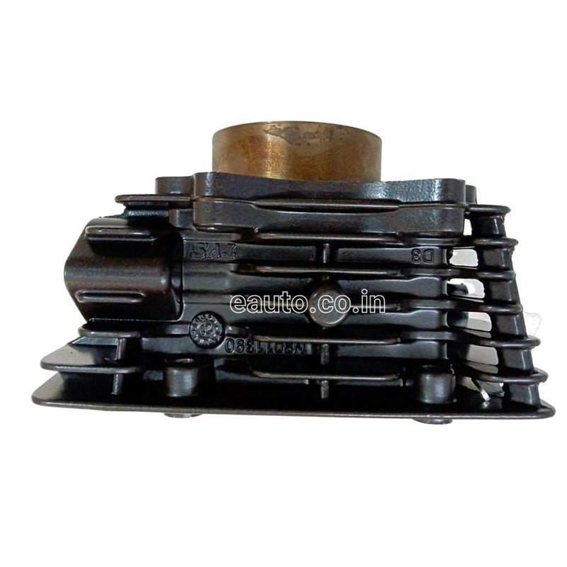 Tvs Original Engine Block Kit For Apache Rtr 200 4V Bs4 | Both Carburetor And Fi Model Bore Piston