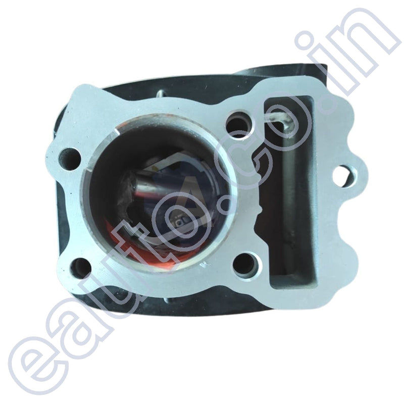 Usha Piston Cylinder Kit For Bajaj Discover 100 | Engine Block