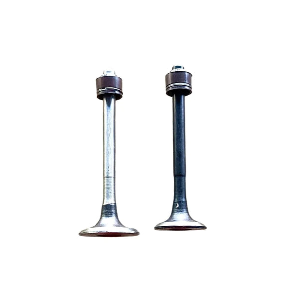 Engine Valve Set for Hero Super Splendor Glamour 2 Valves with sea