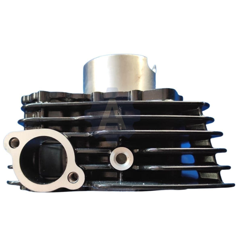 Usha Piston Cylinder Kit For Bajaj Pulsar 135 | Engine Block