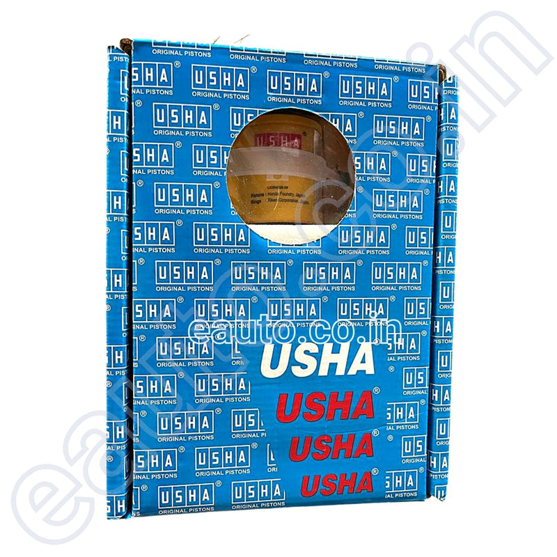USHA Piston Cylinder Kit for Bajaj RE 205  | 3-Wheeler Auto | Engine Block at www.eauto.co.in