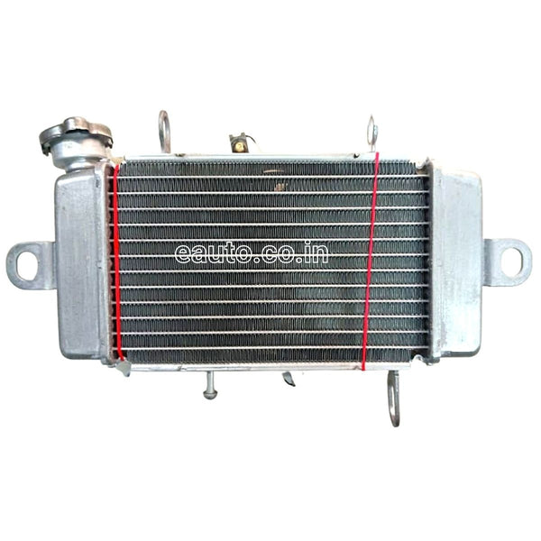 R15 v3 radiator price online